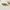 Vis peper en zout set