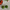 Green peppers peper en zout set