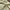 Linen tablecloth 160x320cm Sage green