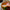 Salad servers Mix Orange-Pink